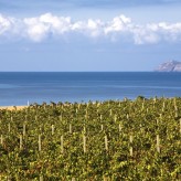 20 febbraio 2015-Il salotto del vino: La Sardegna